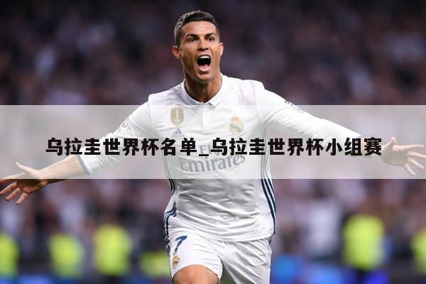 乌拉圭世界杯名单_乌拉圭世界杯小组赛